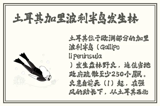 8x8x黄免费